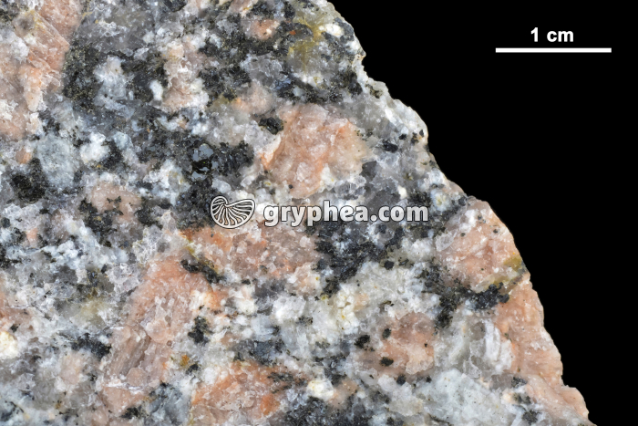 Granite rose et minéraux constitutifs - gryphea.com